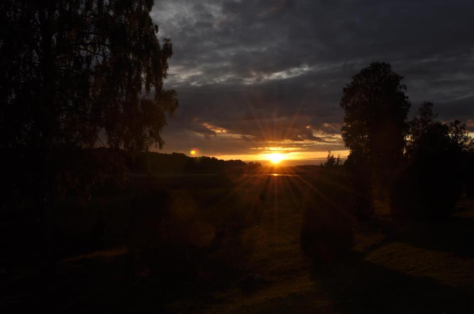 Sunset in nature reserve near Himlinge